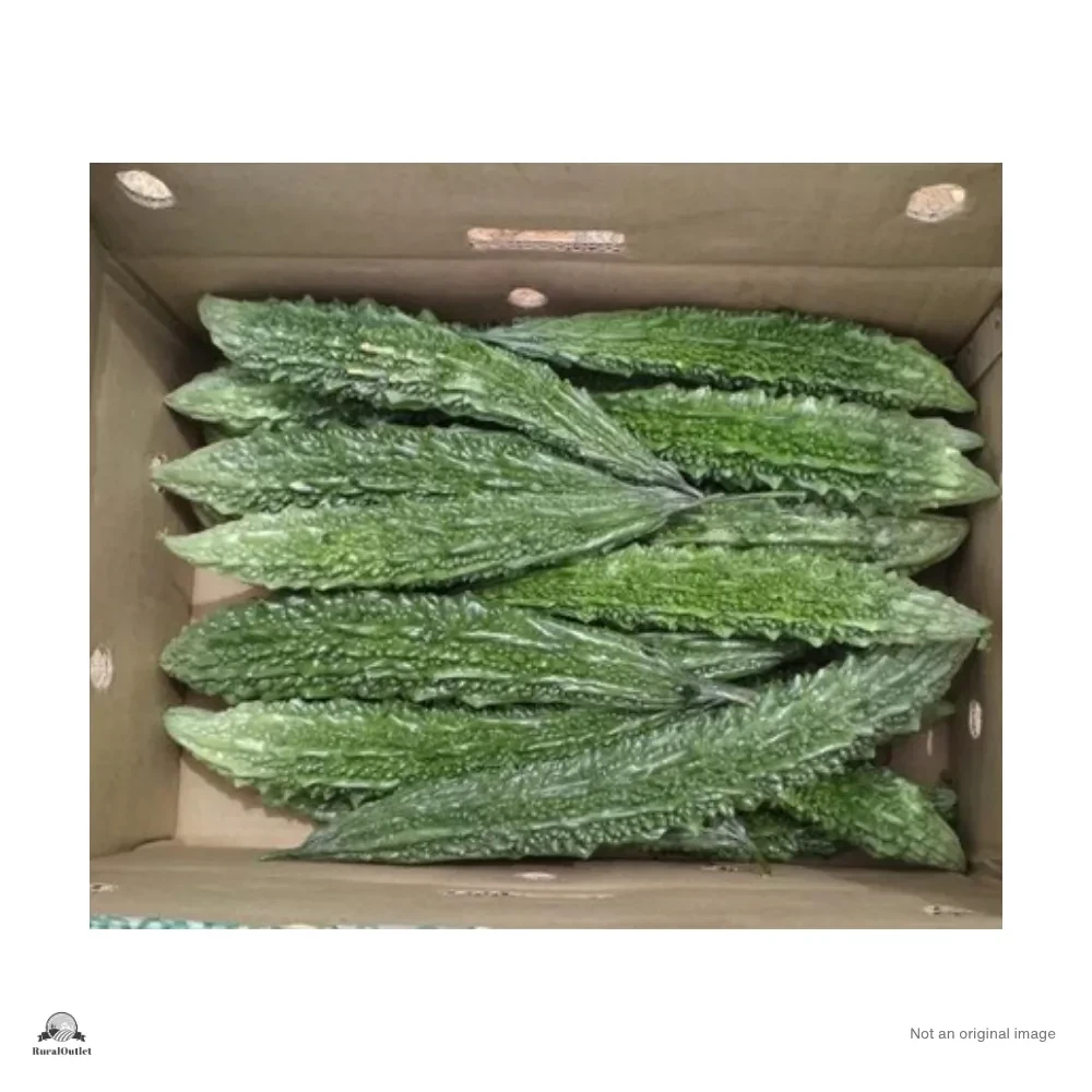 Bitter gourd