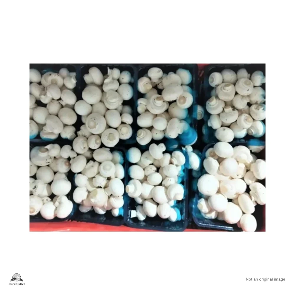 Button Mushroom