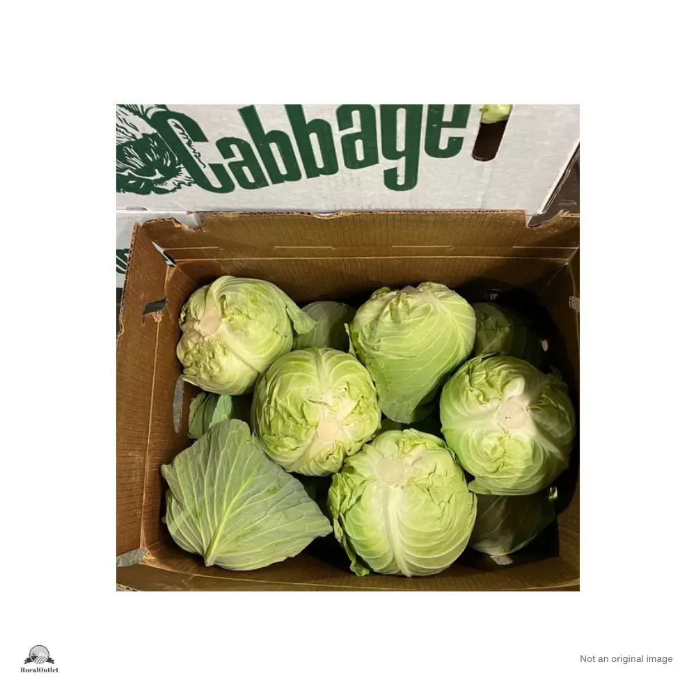 Cabbage
