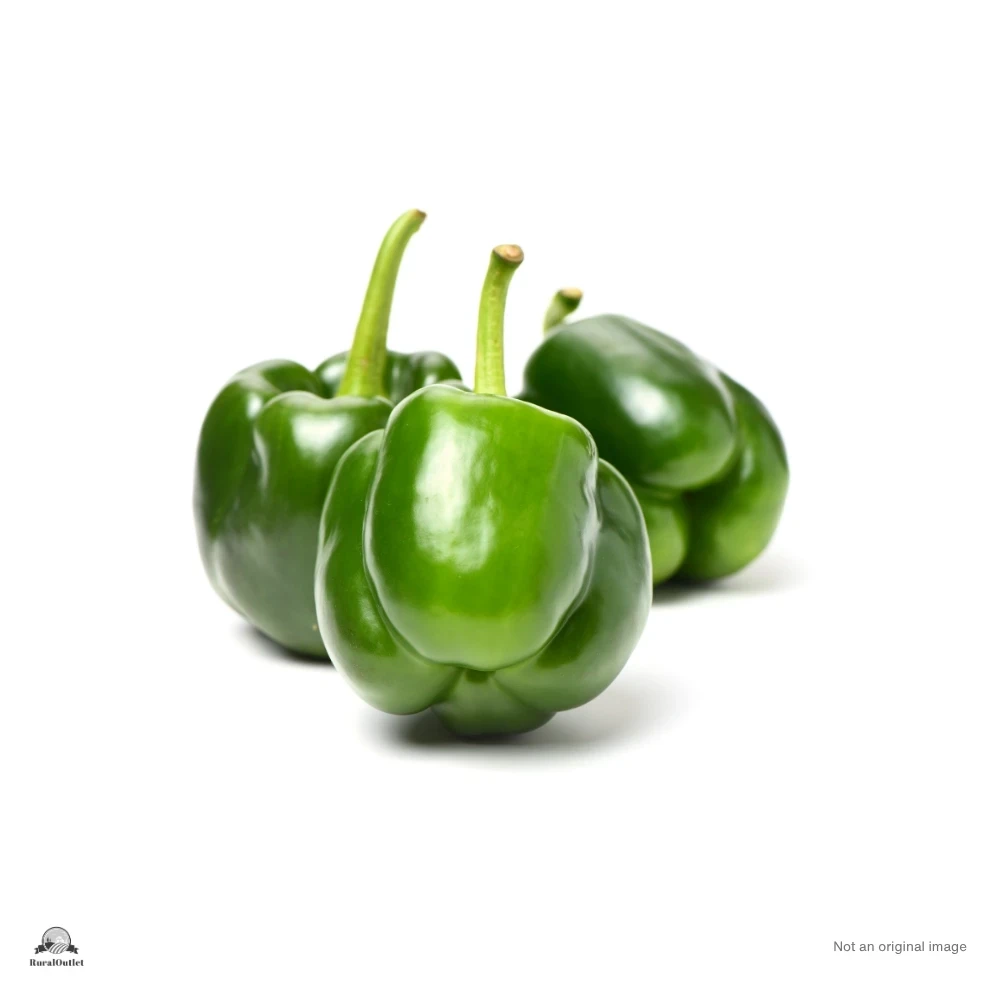 Capsicum