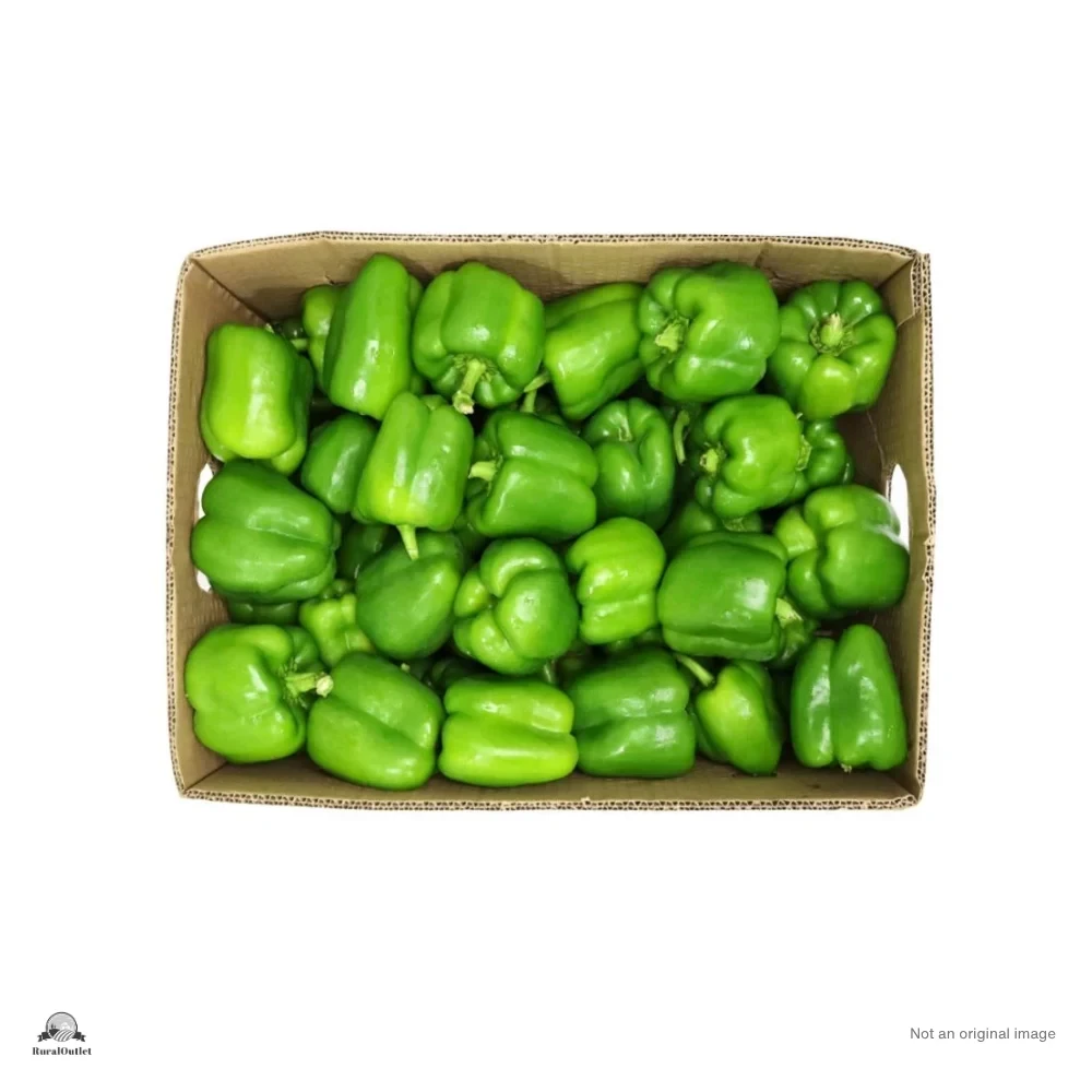 Capsicum