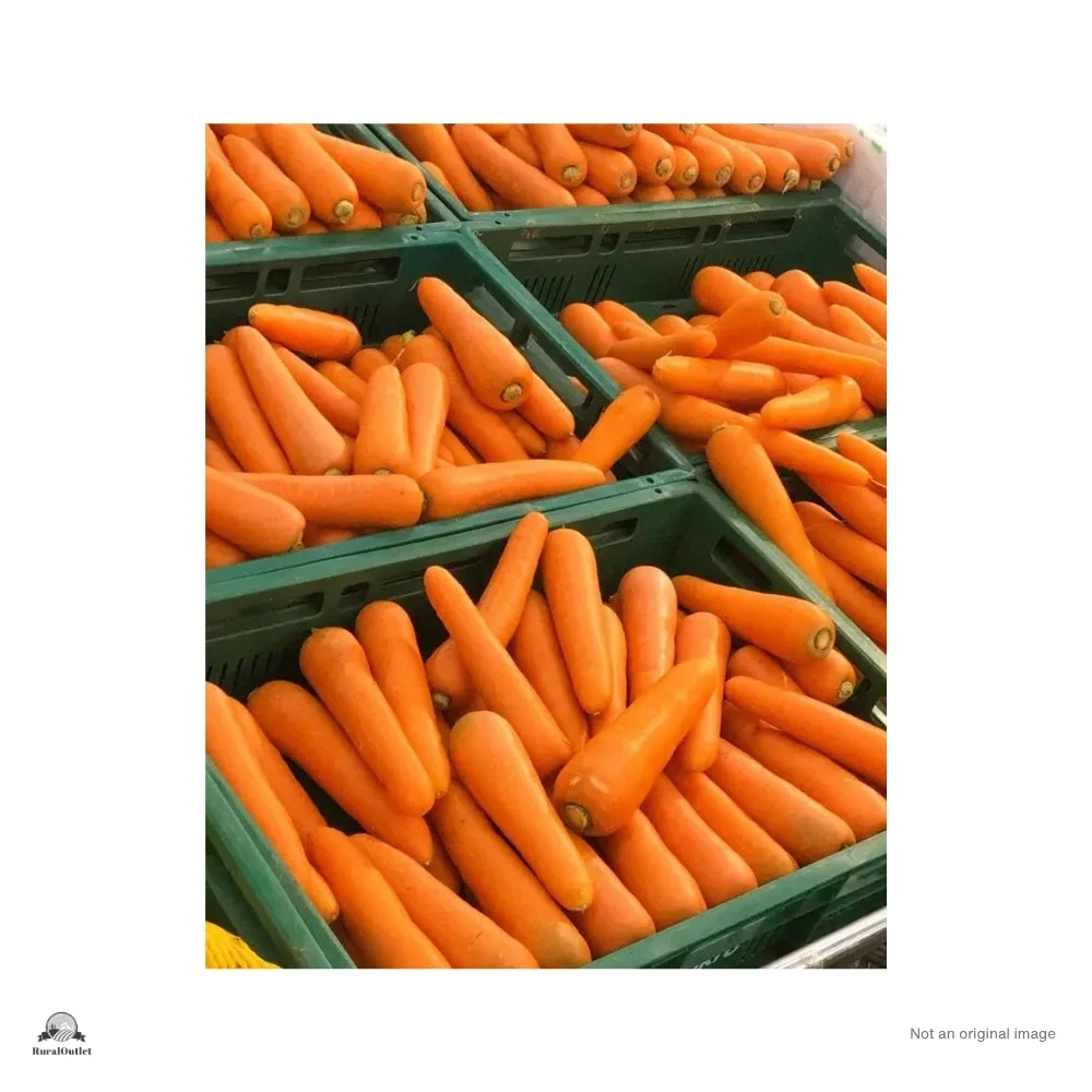 Carrots
