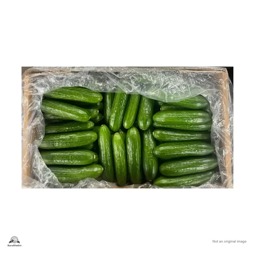 Cucumber