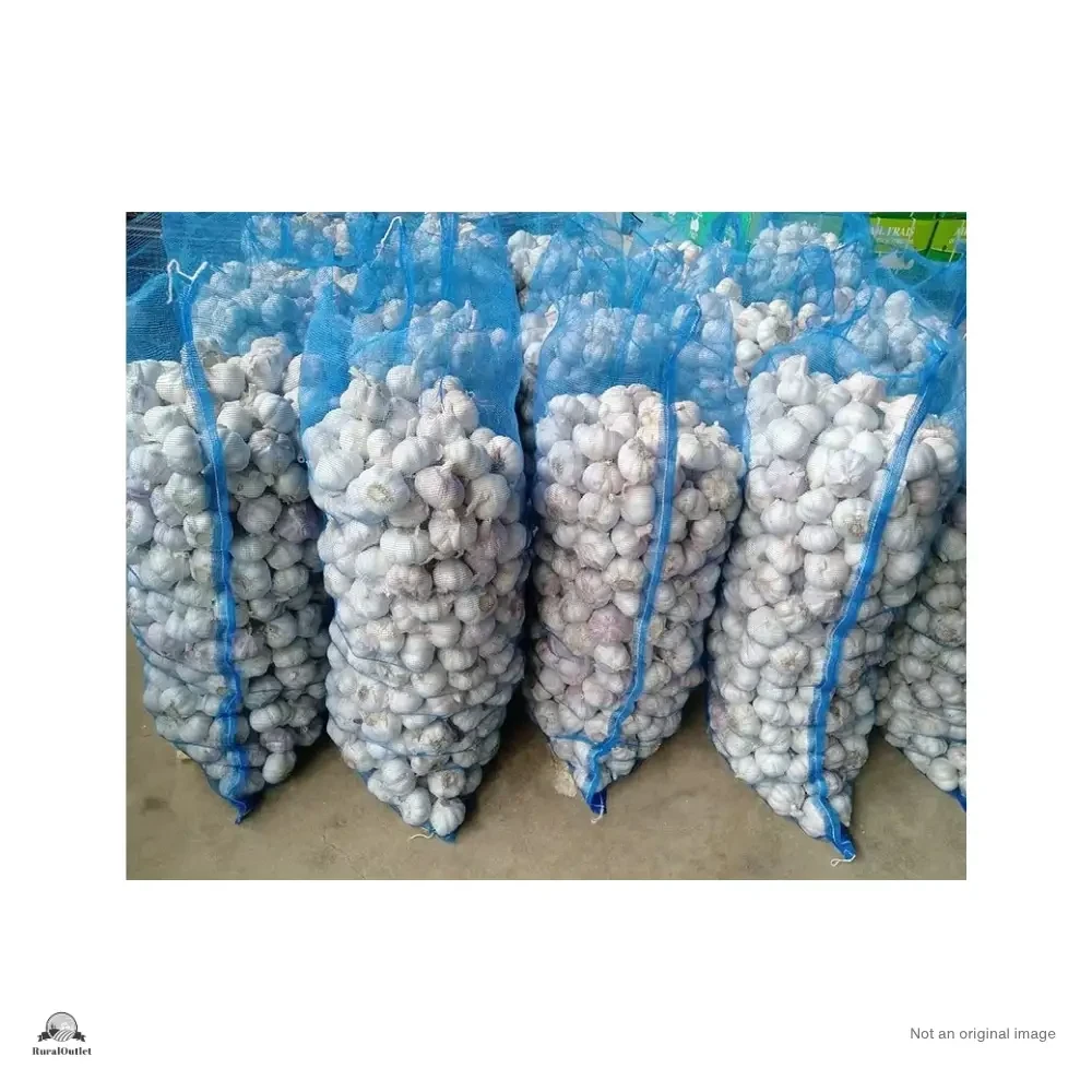 Garlic