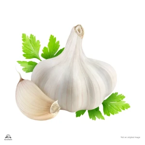 Garlic