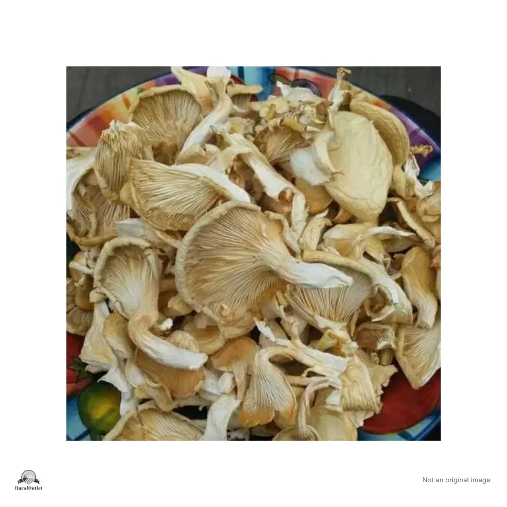 Oyster Mushroom