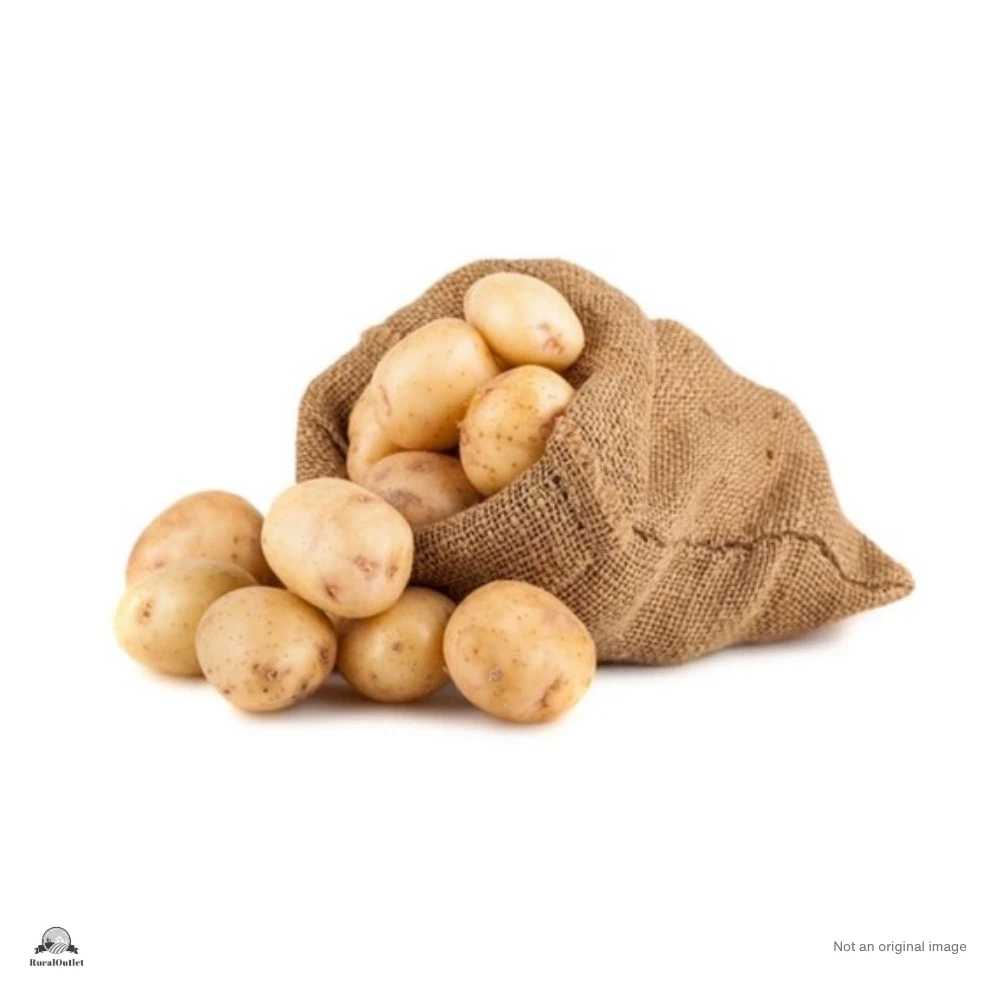 Potato