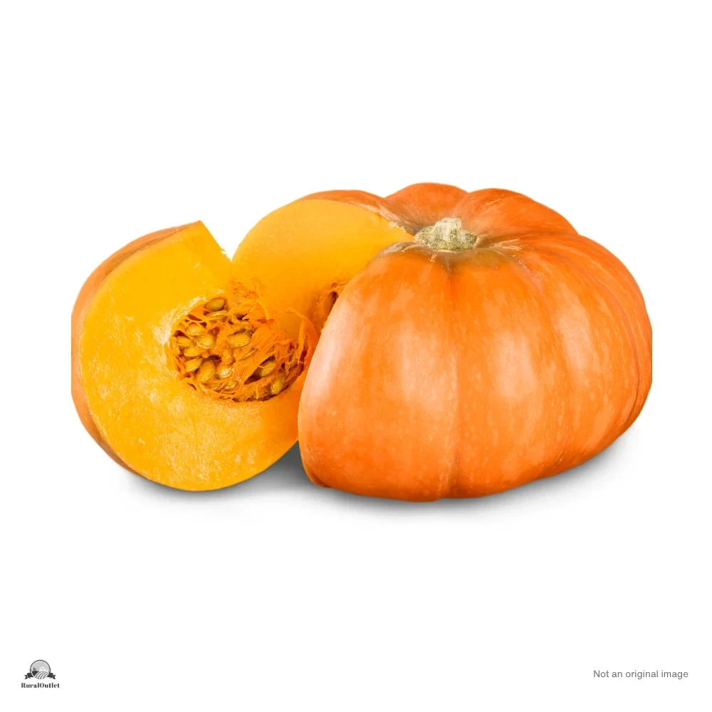 Orange Pumpkin