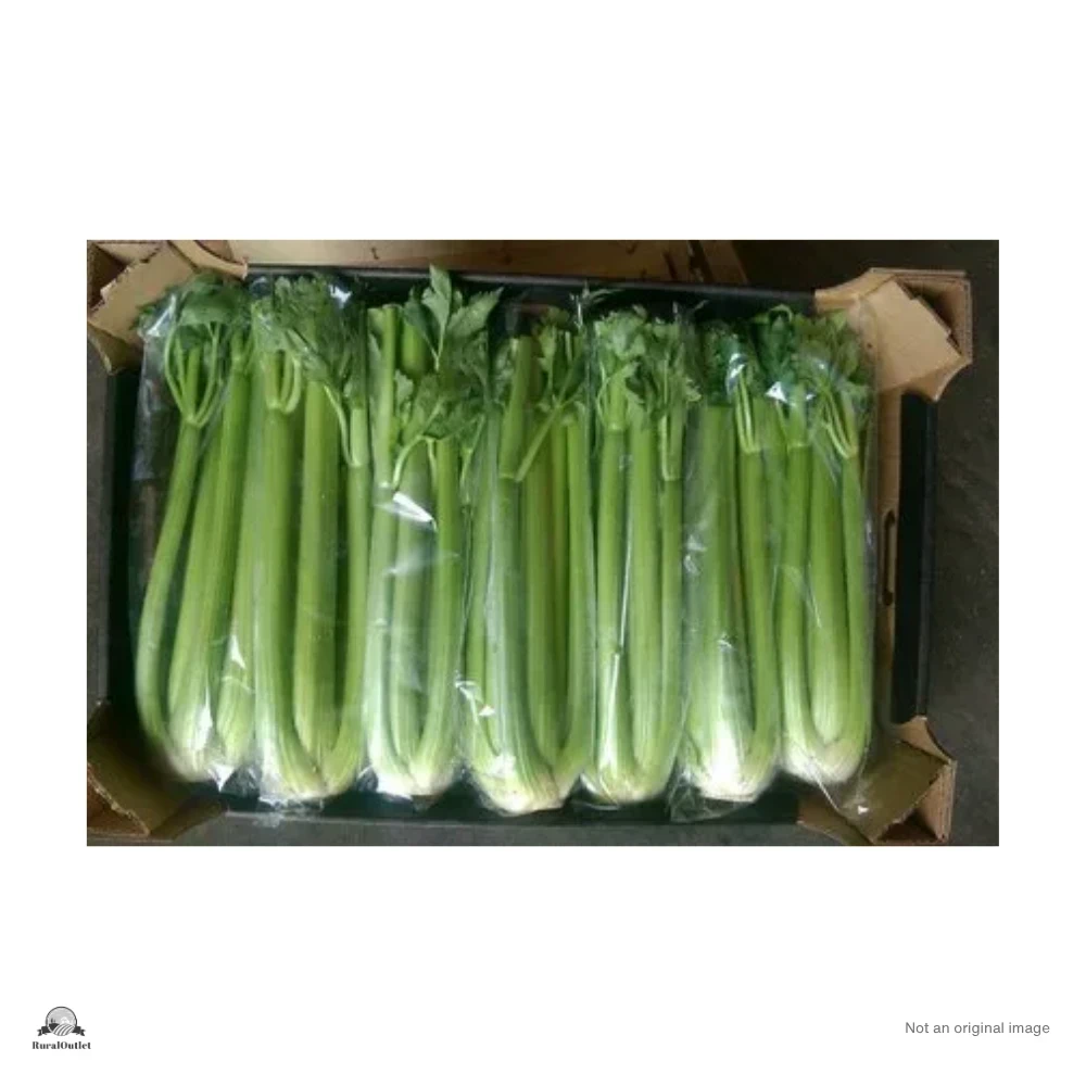 Ribbed celery