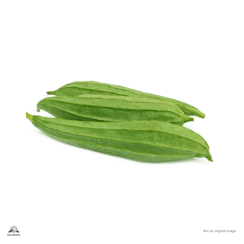 Ridge Gourd