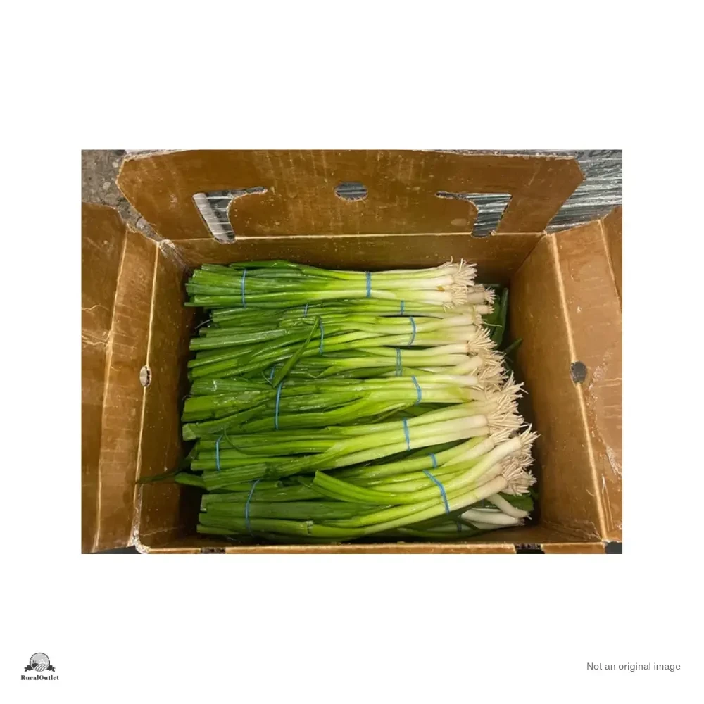 Spring Onion