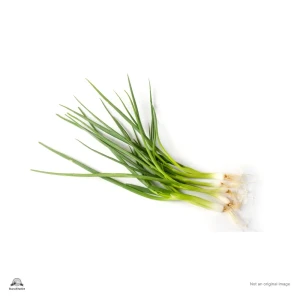 Spring Onion