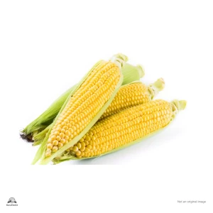 Sweet Corn
