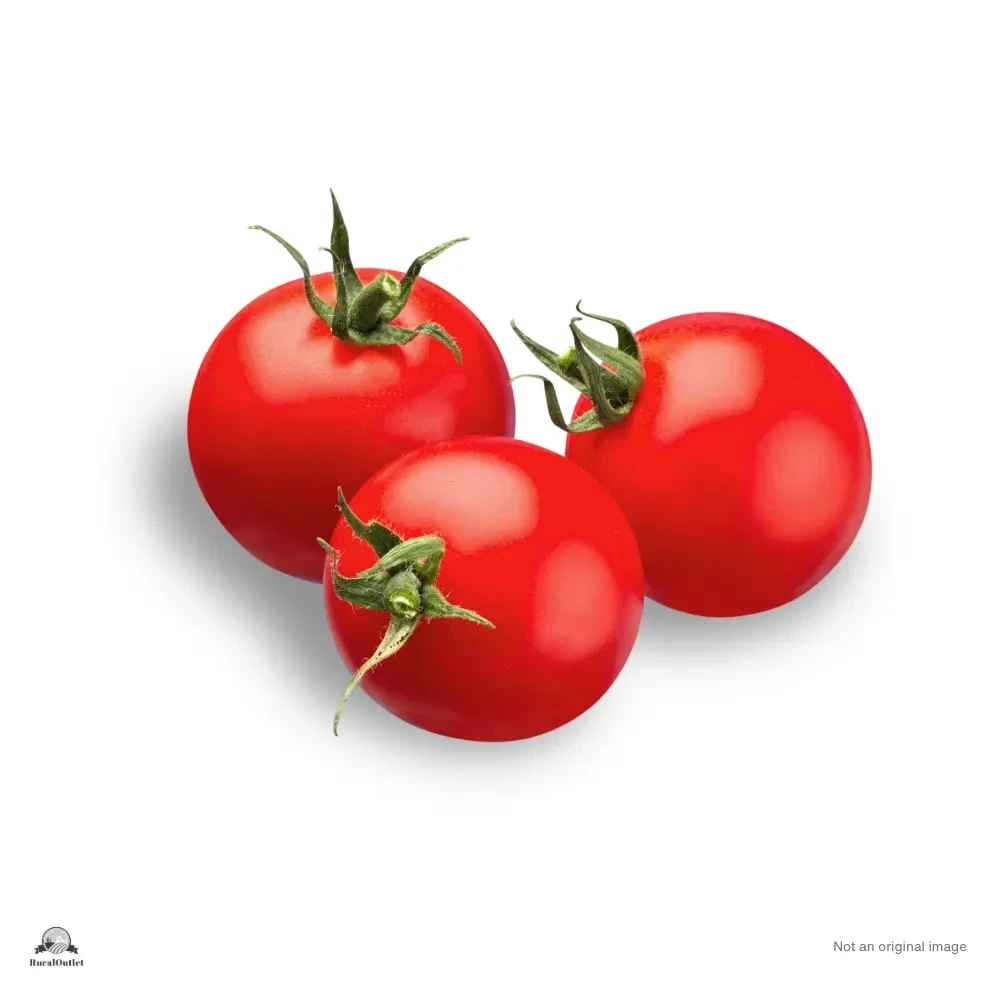 Tomato