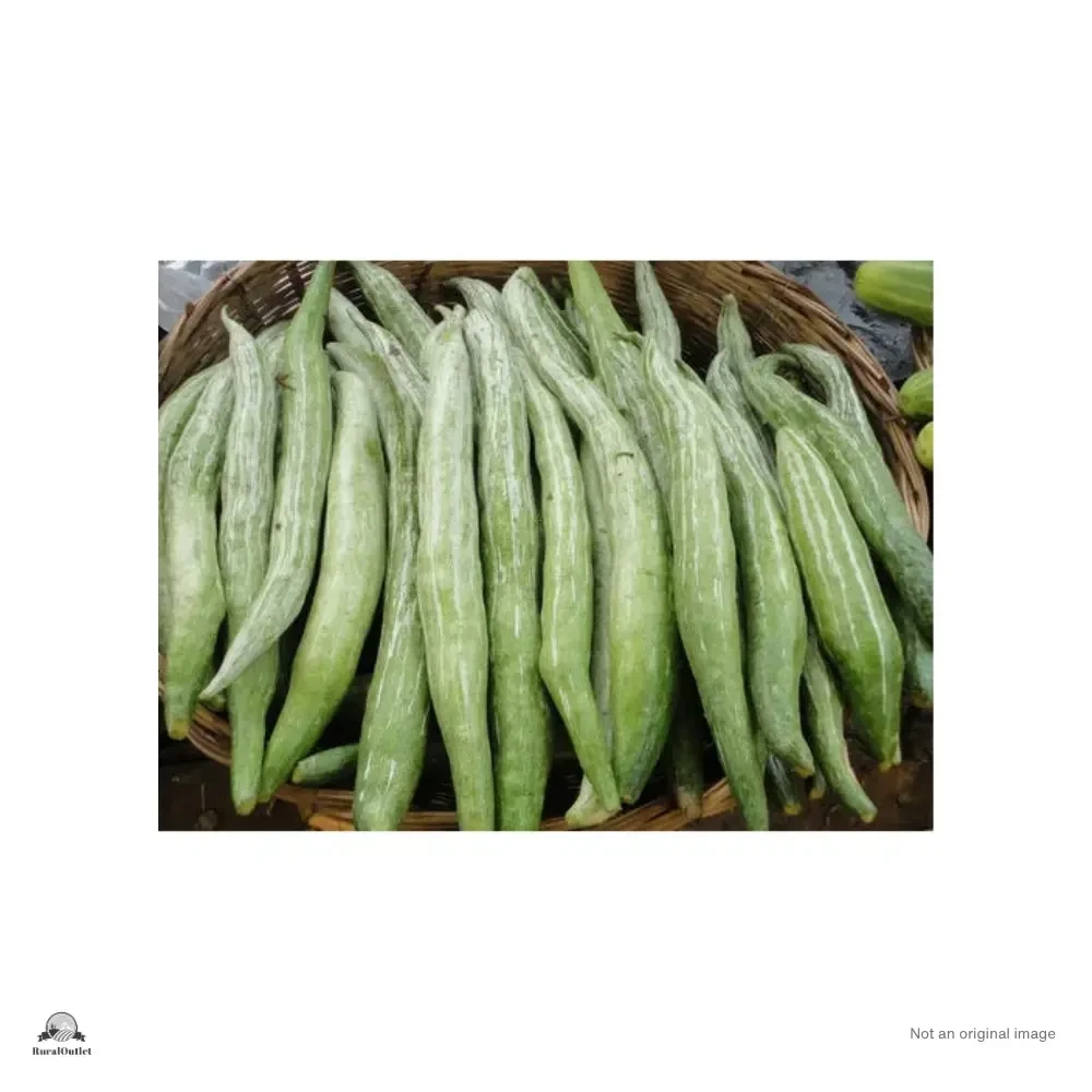Snake Gourd