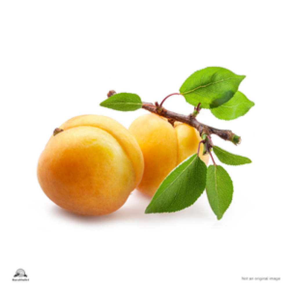 Apricot