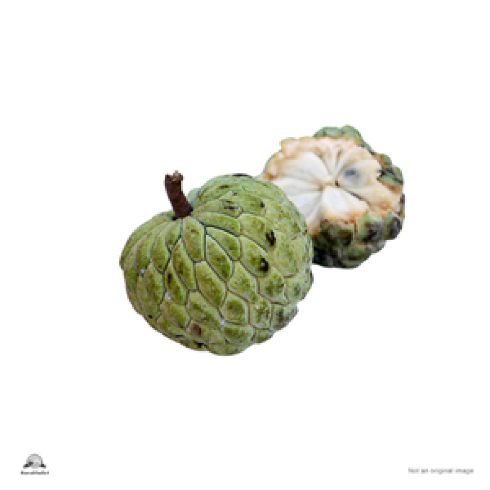 Custard apple