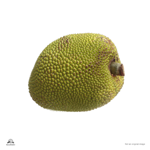 Jackfruit