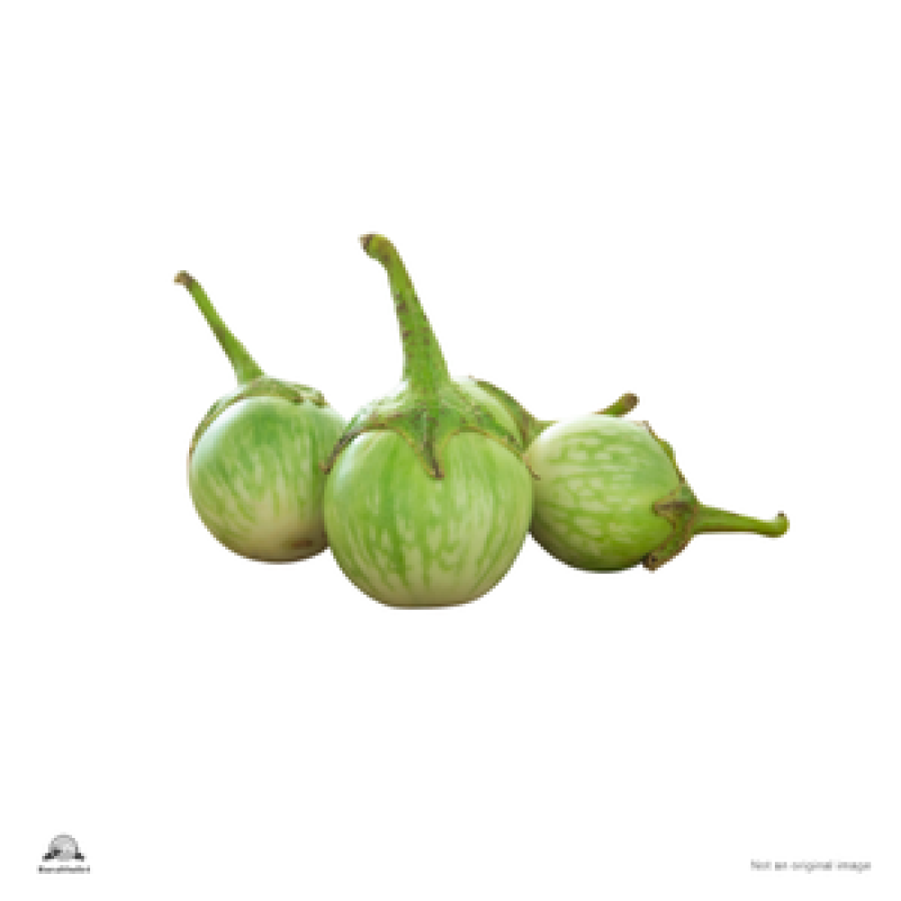 Brinjal