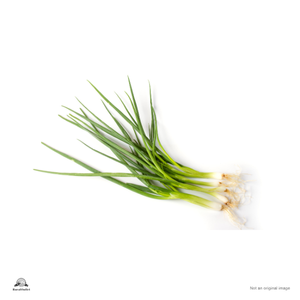 Spring Onion