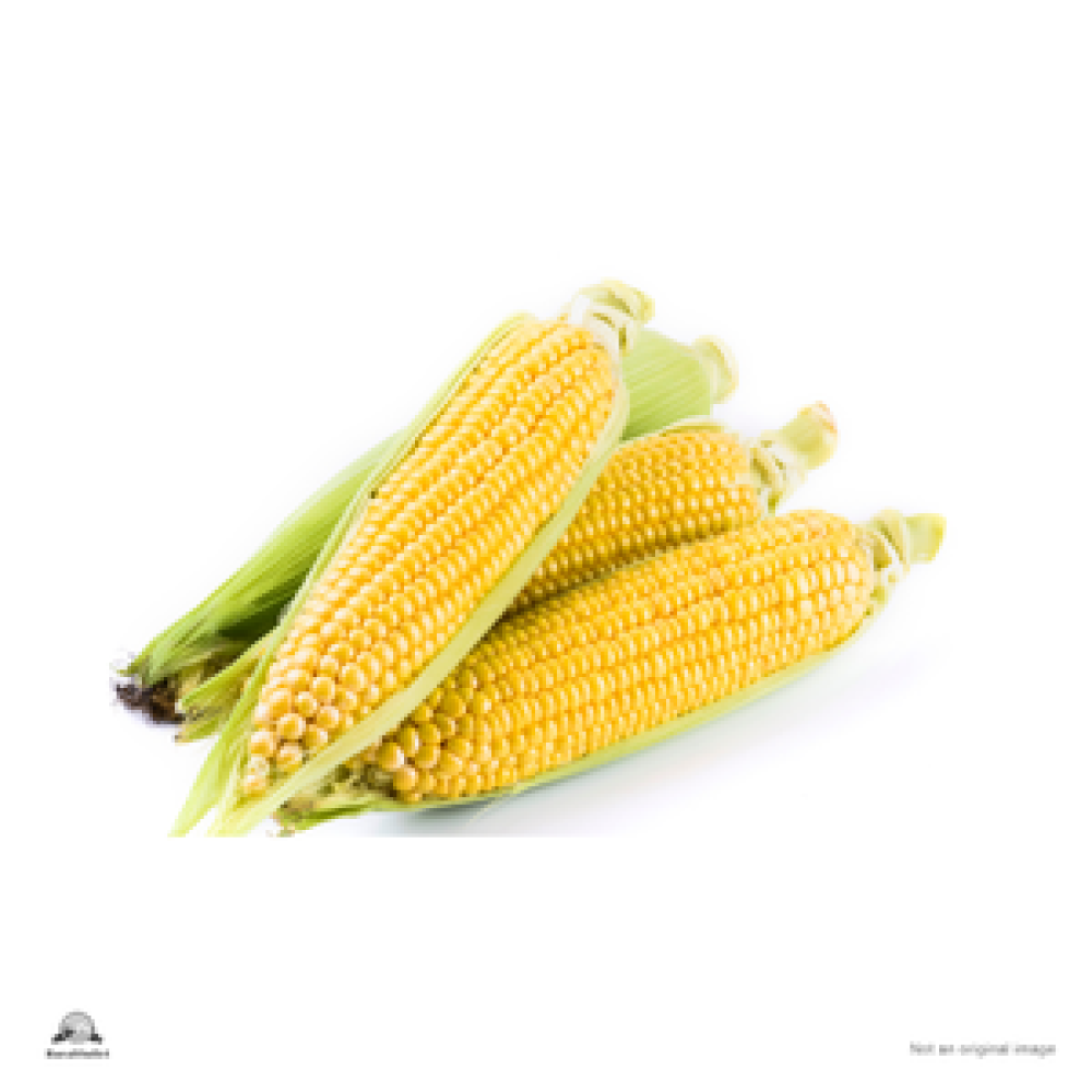 Sweet Corn