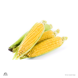 Sweet Corn