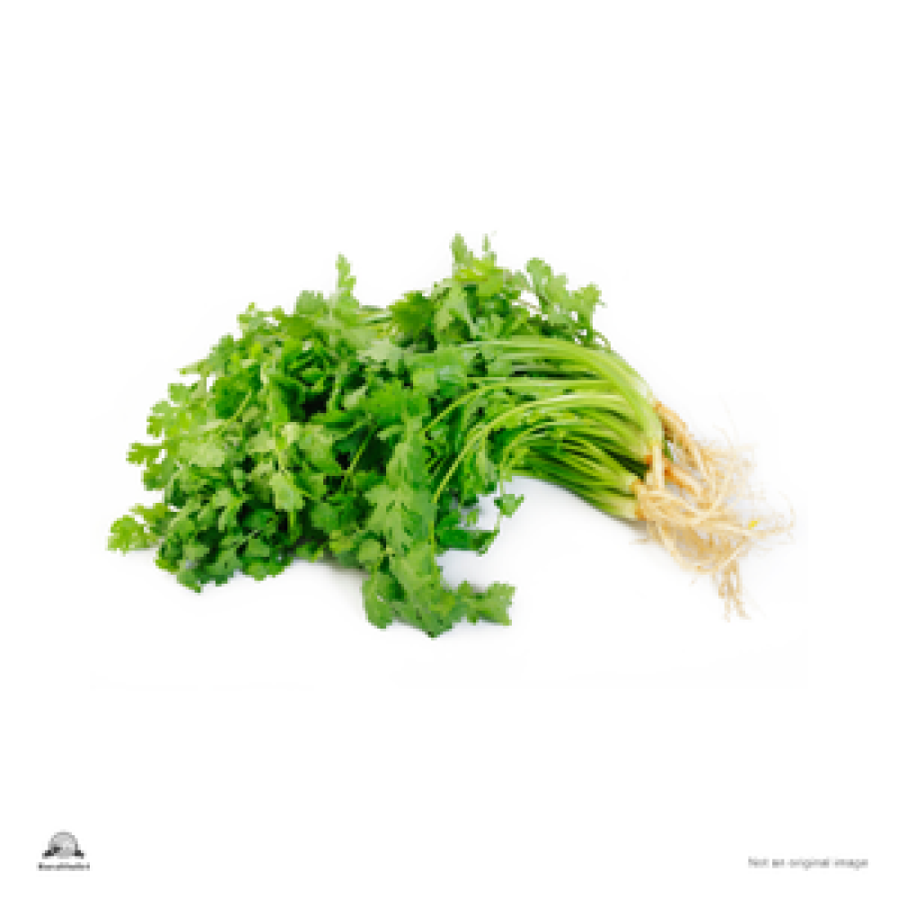 Coriander leaves