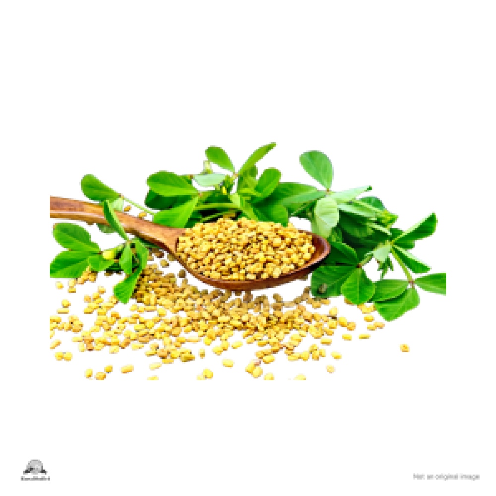 Fenugreek Leaves