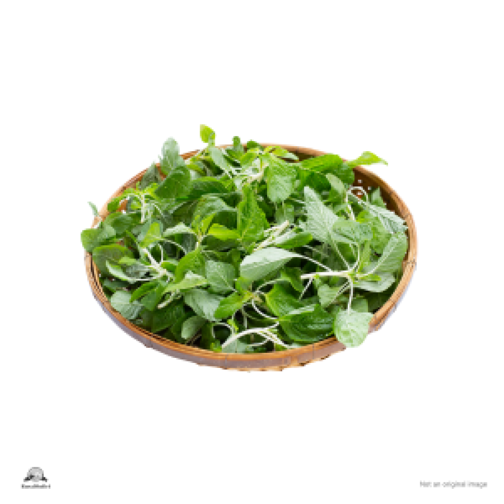Green Amaranthus