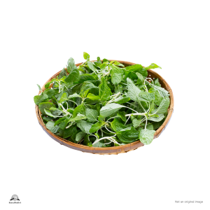 Green Amaranthus