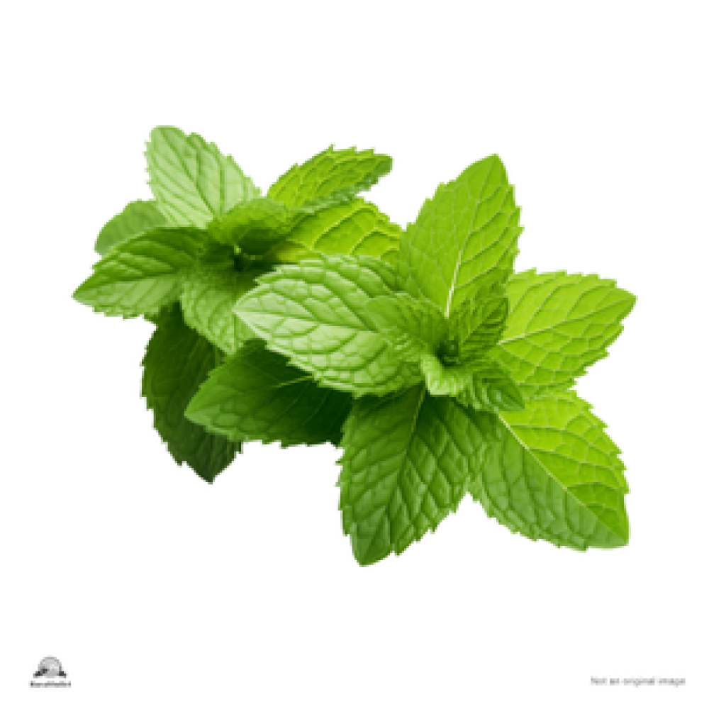 Mint Leaves
