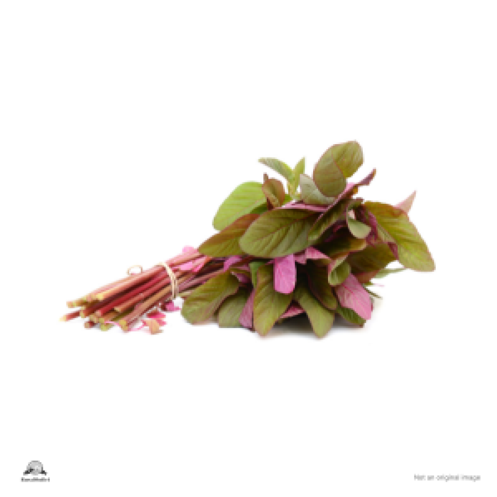 Red Amaranthus