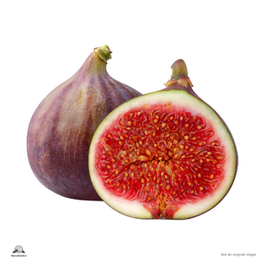 Fig