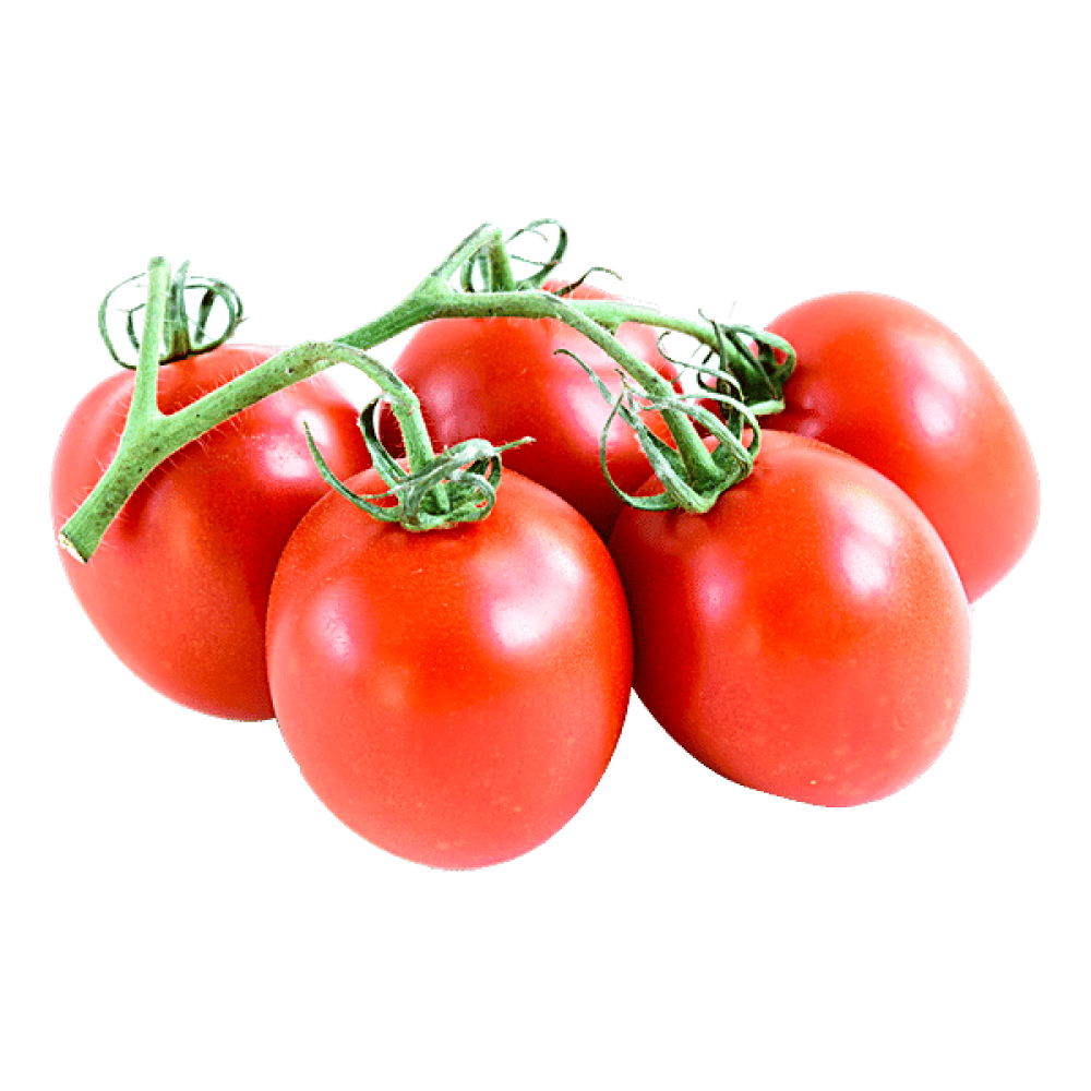 Roma Tomato