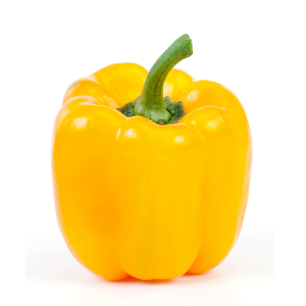 Yellow Capsicum
