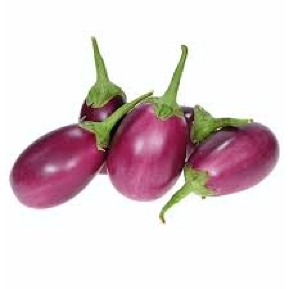 Purple Brinjal