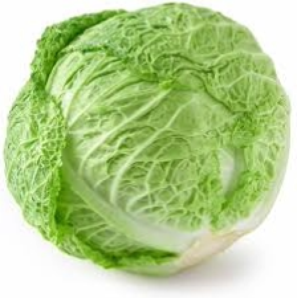 Savoy Cabbage