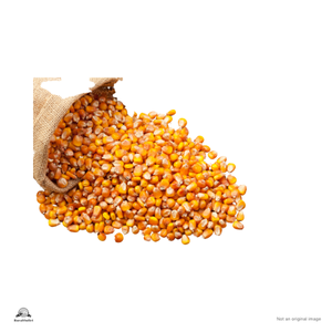 Maize