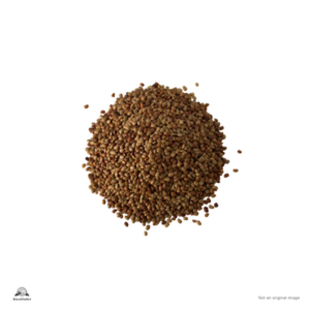 Horse Gram