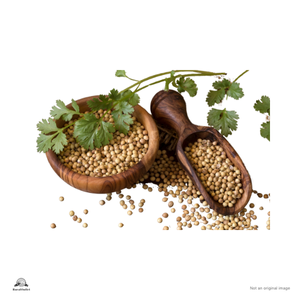 Coriander seeds