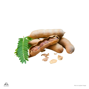 Tamarind