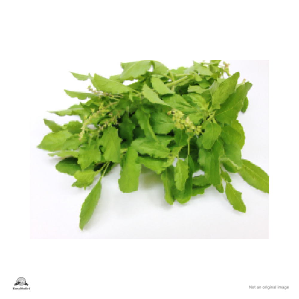Tulsi leaf