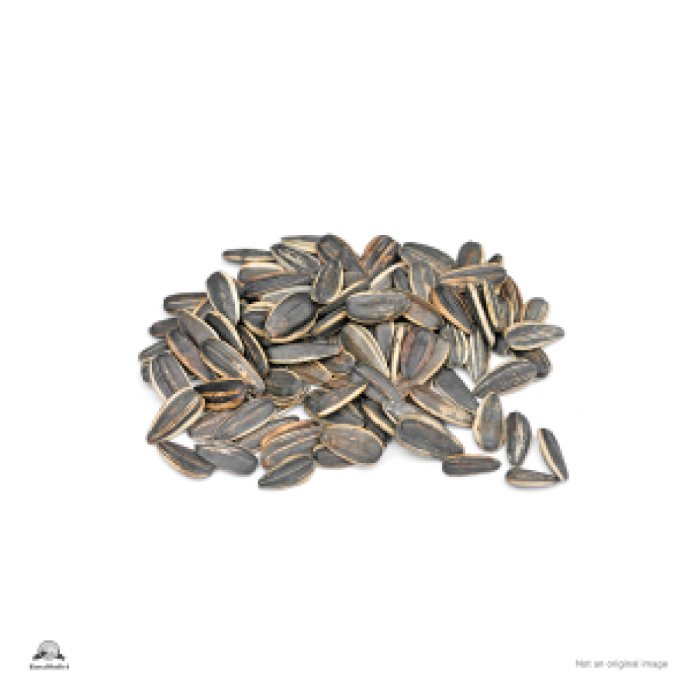 Sunflower seed