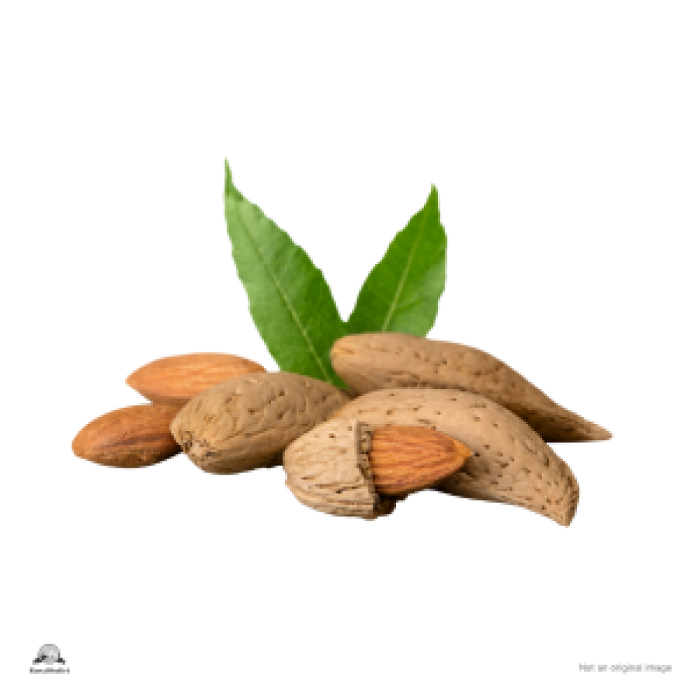 Almond Kernel