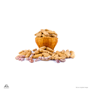 Groundnut with pods