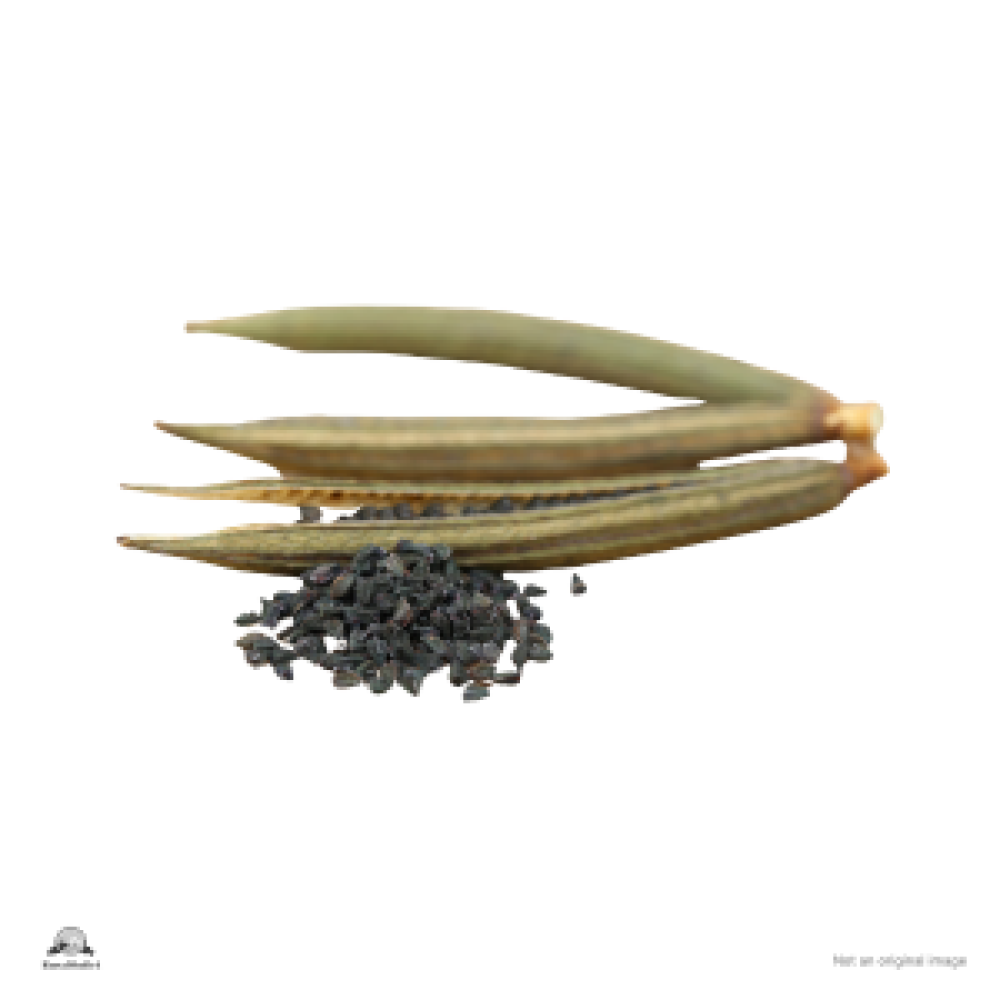 Jute Seeds