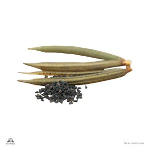 Jute Seeds