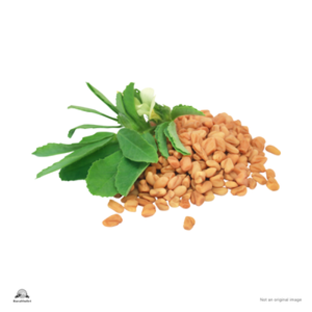 Fenugreek seed