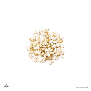 Kusum seed