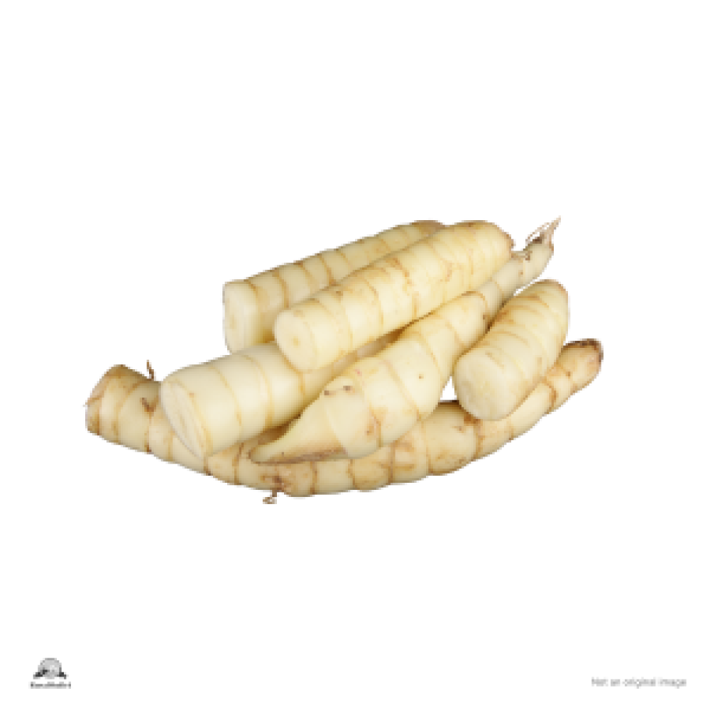 Arrowroot